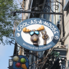 Cool as a moose, boutique de souvenirs